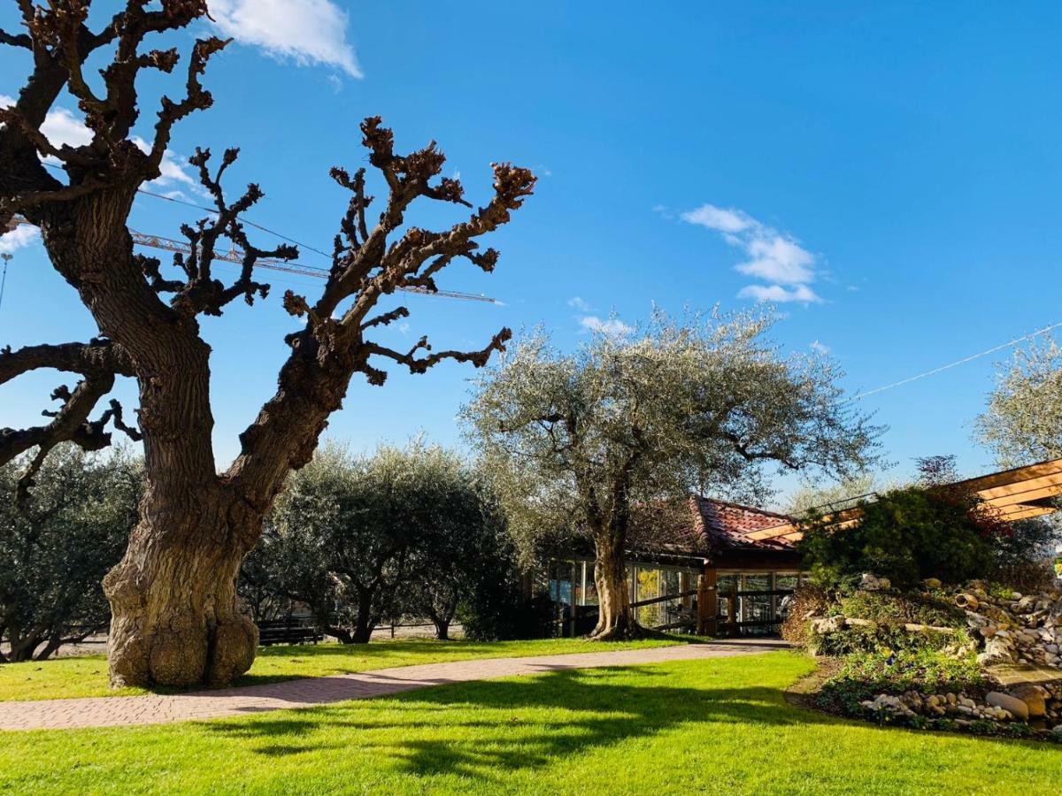 Agriturismo Le Tese Colà エクステリア 写真