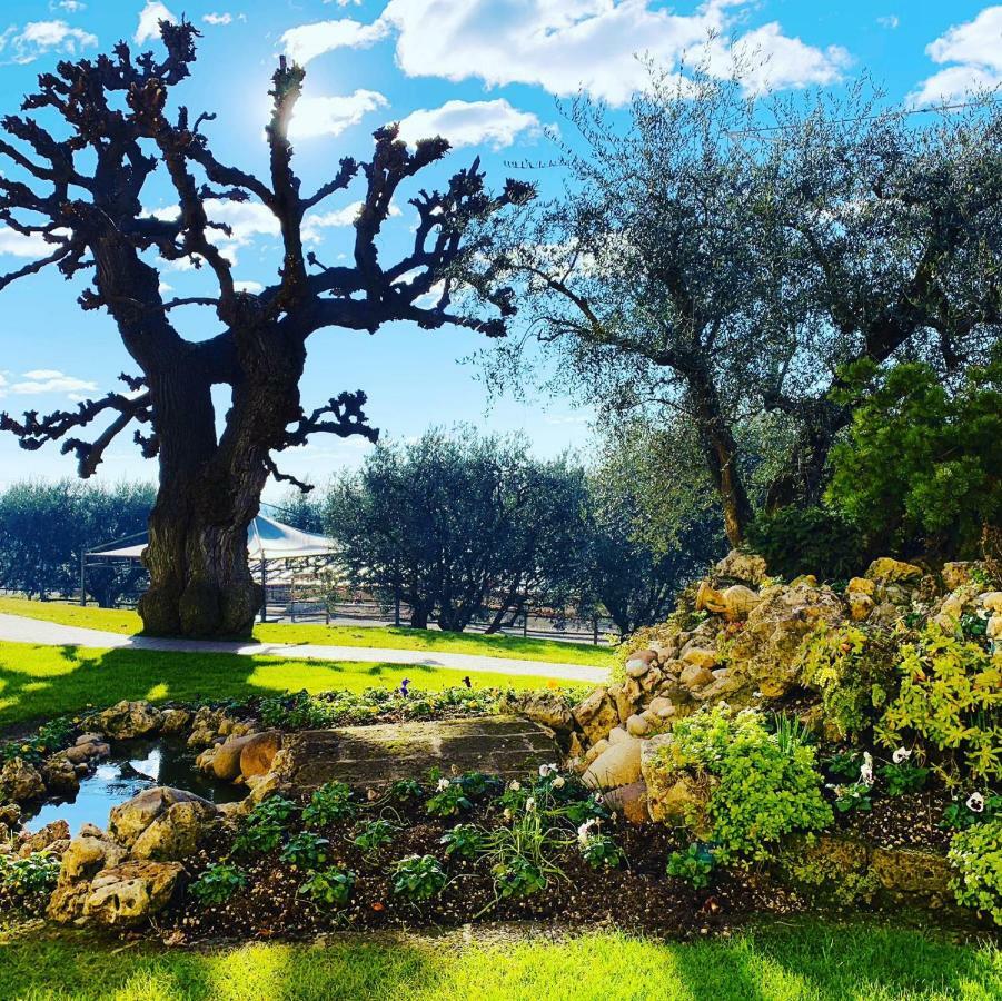 Agriturismo Le Tese Colà エクステリア 写真
